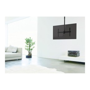 Stropni nosač za TV od 40" do 70" STELL SHO 3900