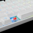 Gaming tipkovnica White Shark GK-2022 Shinobi bijela sa crvenim prekidačima