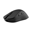 White Shark Camillus WGM-9013 bežični gaming miš, Pixart 3950, 62 g White Shark Camillus WGM-9013 bežični gaming miš, Pixart 3950, 62 g