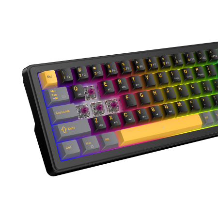 White Shark Excalibur M kompaktna 65% mehanička tipkovnica, US raspored, crna