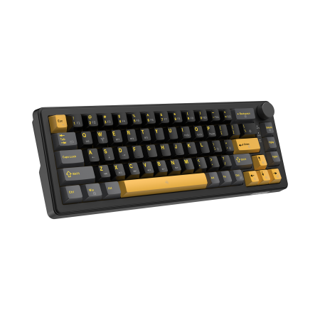 White Shark Excalibur M kompaktna 65% mehanička tipkovnica, US raspored, crna