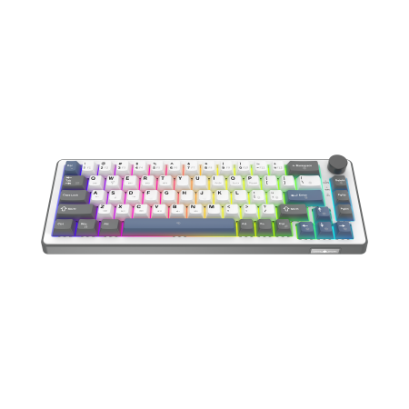 White Shark Excalibur M kompaktna 65% mehanička tipkovnica, US raspored, bijela White Shark Excalibur M kompaktna 65% mehanička tipkovnica, US raspored, bijela