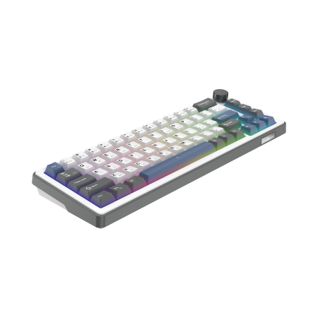 White Shark Excalibur M kompaktna 65% mehanička tipkovnica, US raspored, bijela White Shark Excalibur M kompaktna 65% mehanička tipkovnica, US raspored, bijela
