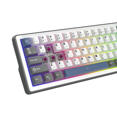 White Shark Excalibur M kompaktna 65% mehanička tipkovnica, US raspored, bijela White Shark Excalibur M kompaktna 65% mehanička tipkovnica, US raspored, bijela