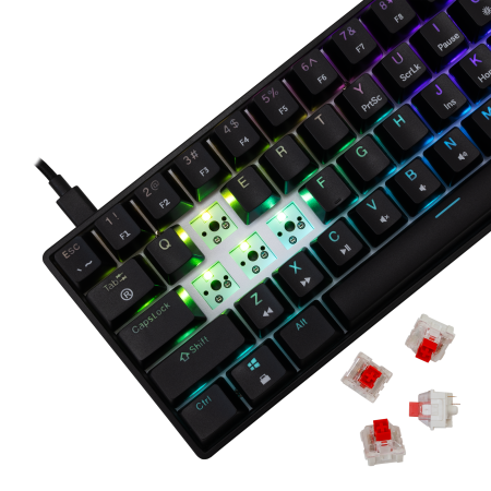 White Shark Shinobi 2 mehanička tipkovnica, HR, crveni prekidači