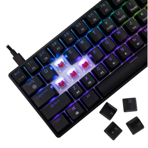 White Shark Shinobi 2 mehanička tipkovnica, US, crveni prekidači